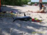 Kids love the beach at Lake Winnipeg in the summer|