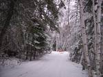 Early Winter at Hillside Beach