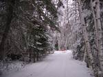 Early Winter at Hillside Beach