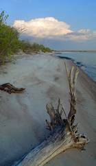 Elk - Island on Lake Winnipeg Manitoba