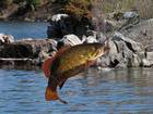 fishing on Lake Winnipeg Manitoba