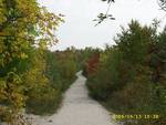 General impressions of Hillside Beach in the Fall