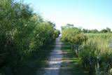 Lagoon Road, path to the Beach