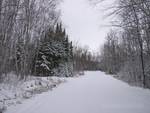 Early Winter at Hillside Beach